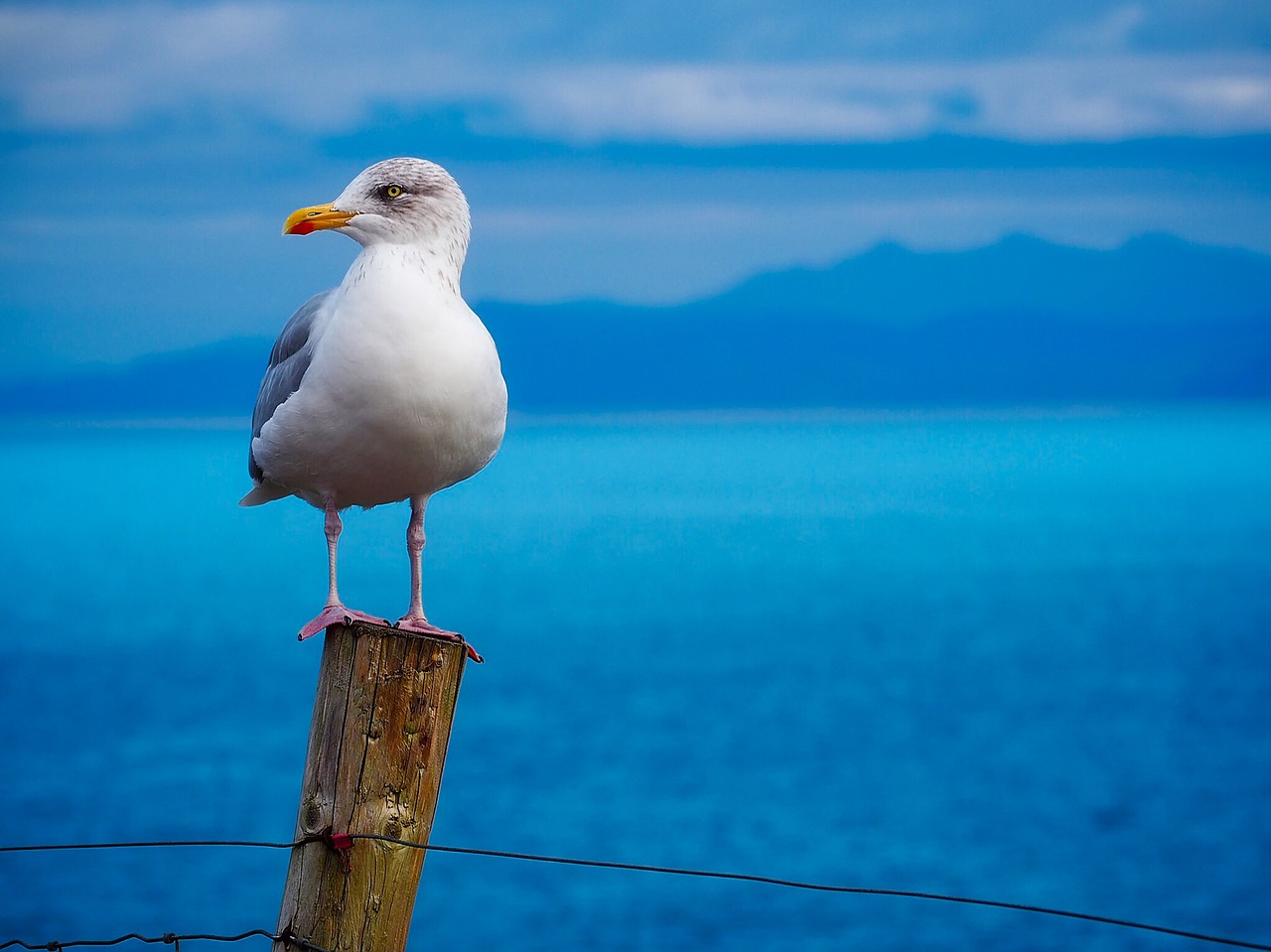 sea