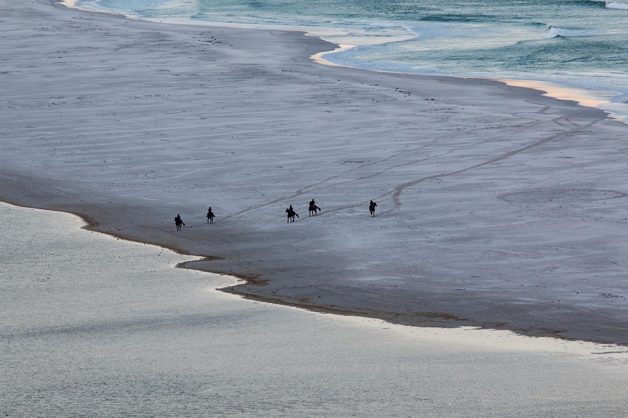 sea