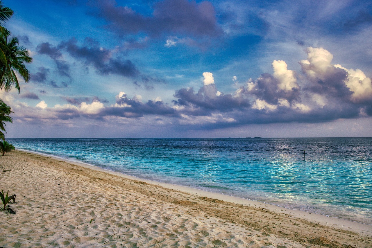 sea