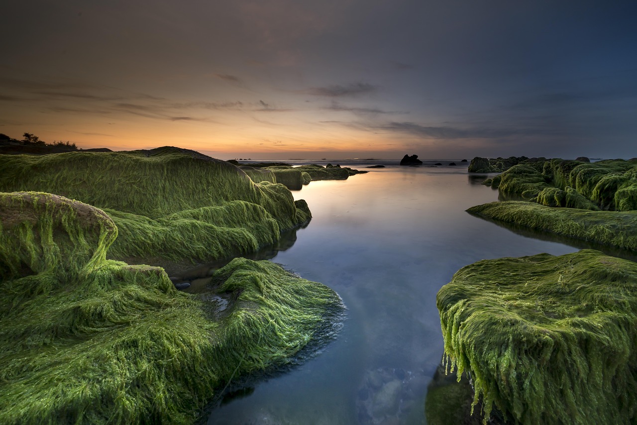 sea