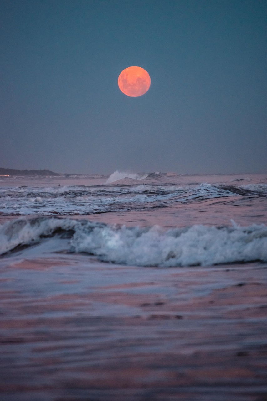 sea