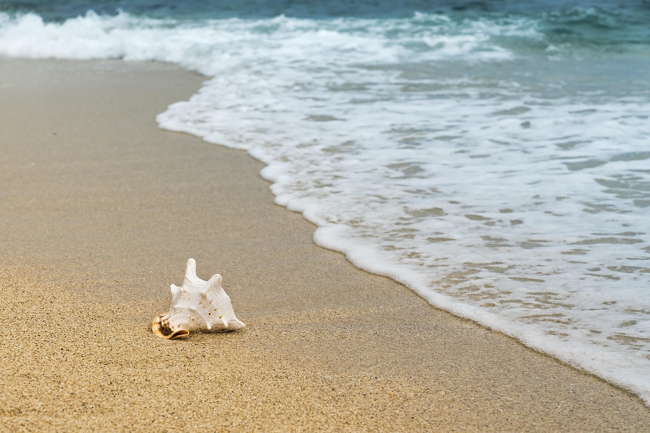 sea