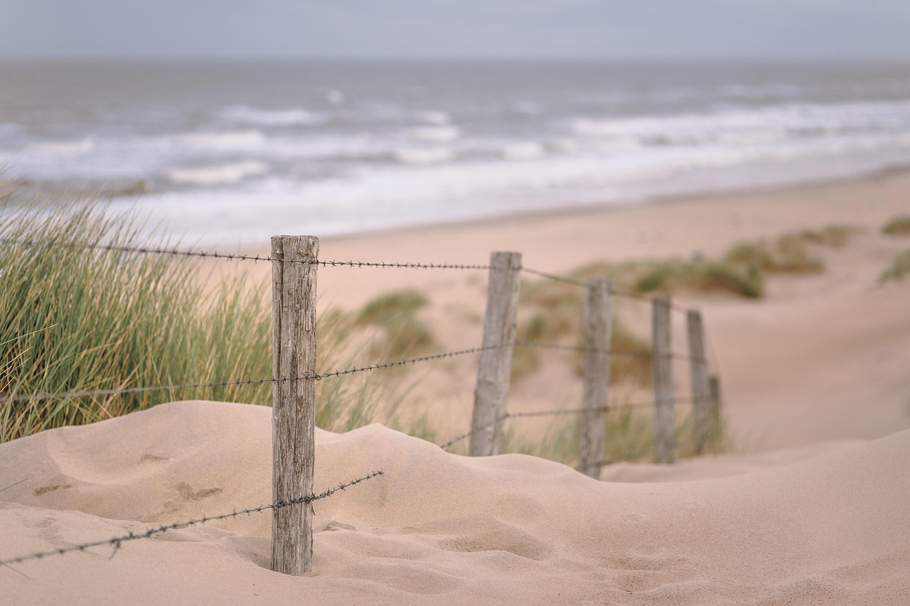 sea