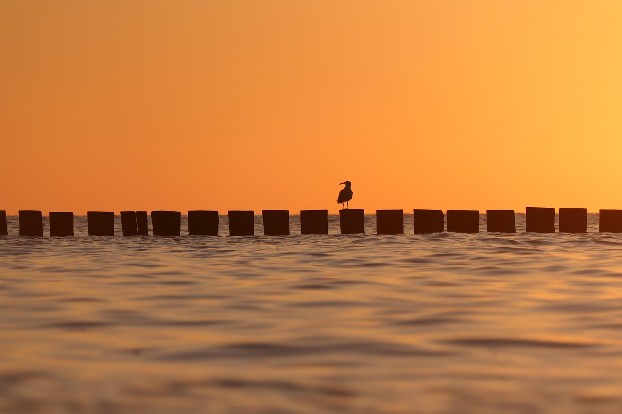 sea