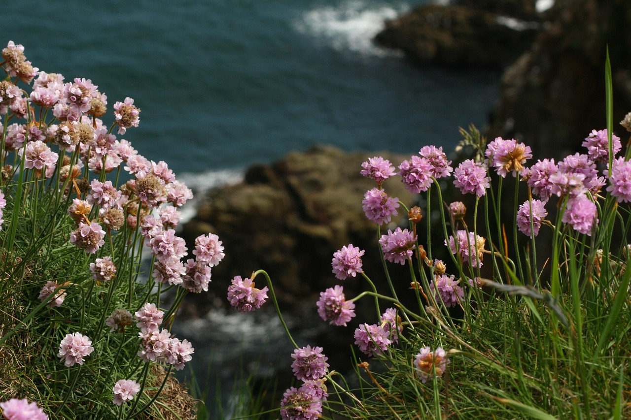 sea