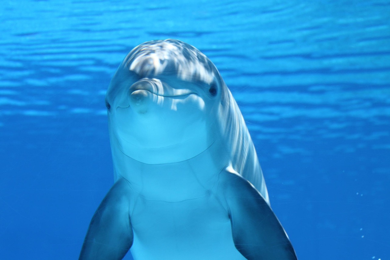sea
