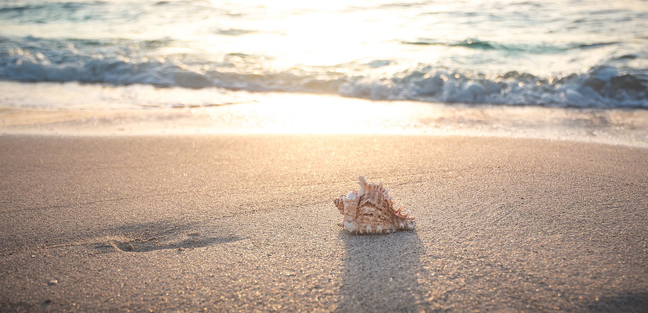 sea