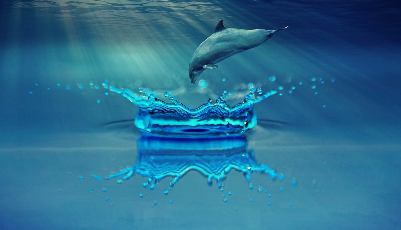 sea